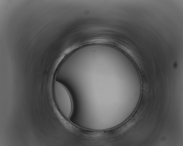 X0000094821426200711161017