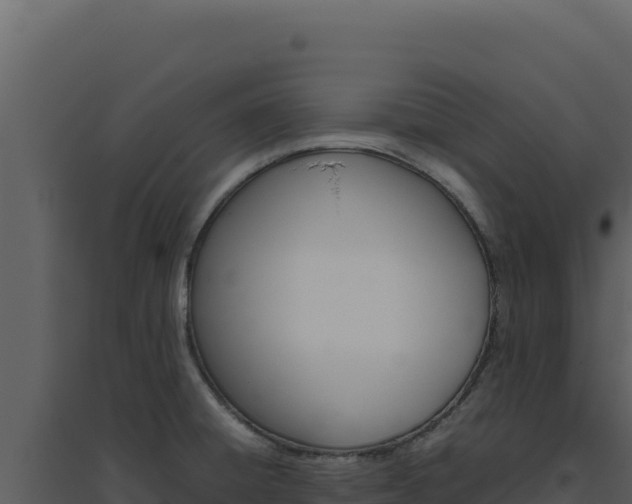 X0000094821428200711161017