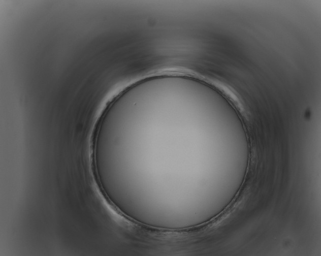 X0000094821430200711161017