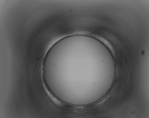 X0000094821431200711161017