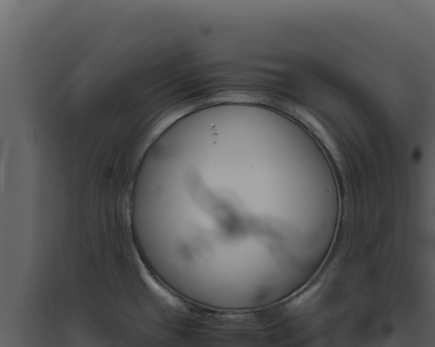 X0000094821433200711161017
