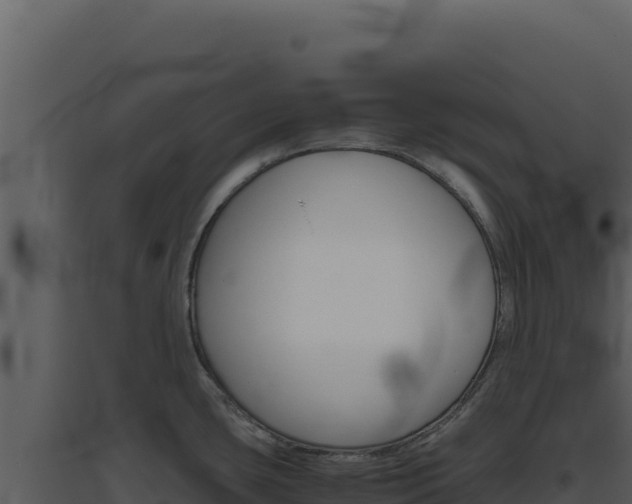 X0000094821435200711161017