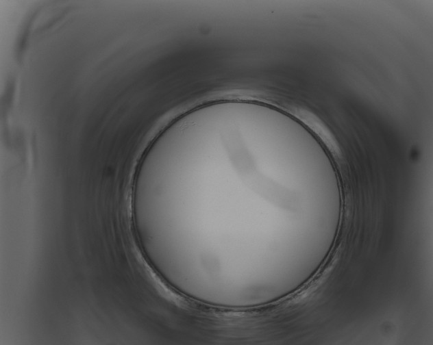 X0000094821436200711161017