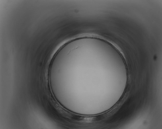 X0000094821438200711161017