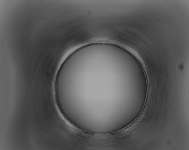 X0000094821440200711161017