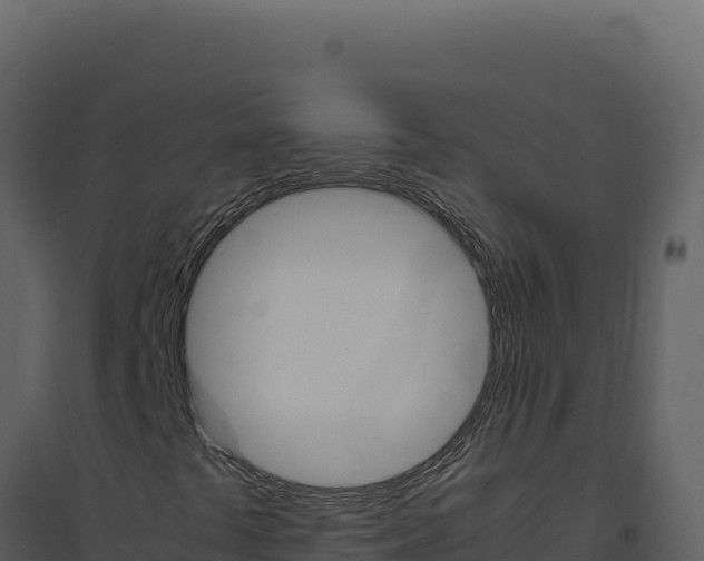 X0000094821441200711161016