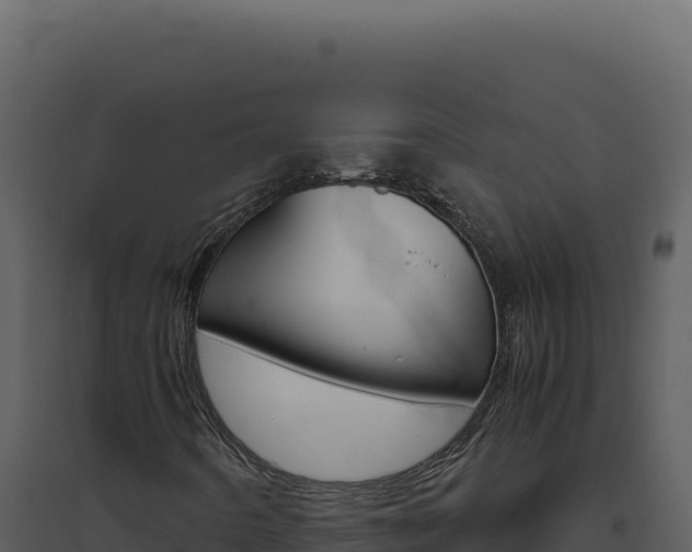X0000094821442200711161016