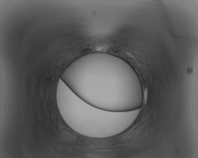 X0000094821443200711161016