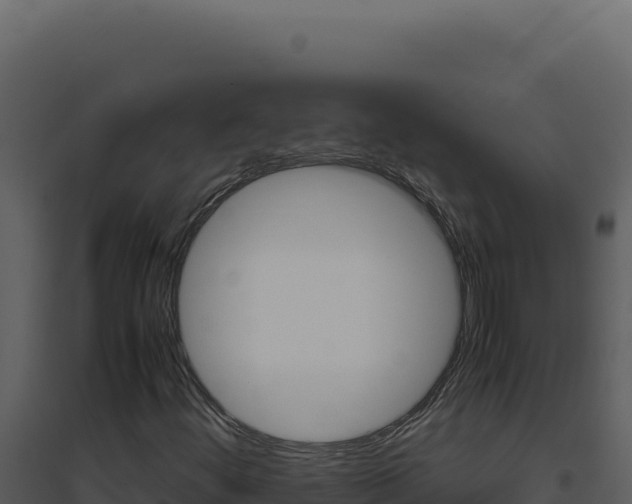 X0000094821444200711161016