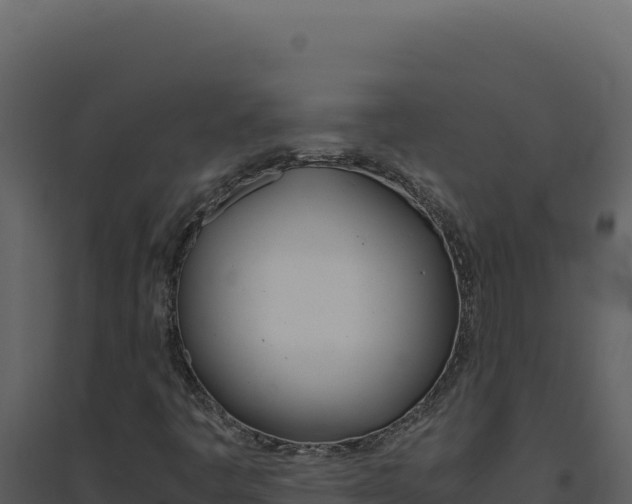 X0000094821445200711161016