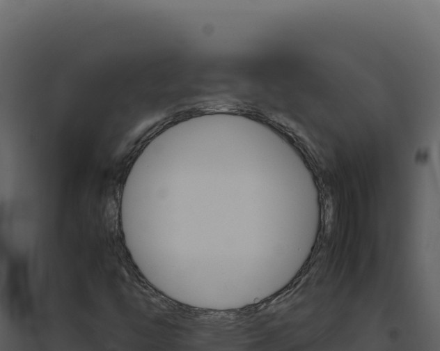 X0000094821446200711161016