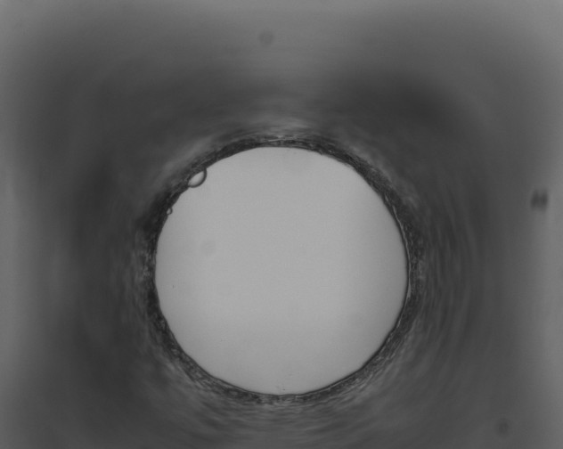 X0000094821447200711161016