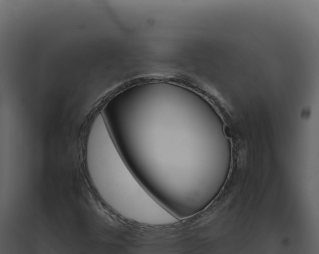 X0000094821448200711161016