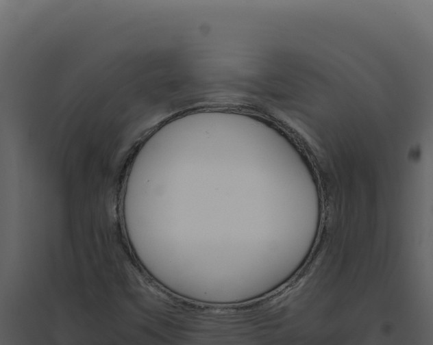 X0000094821451200711161016