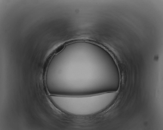 X0000094821452200711161016