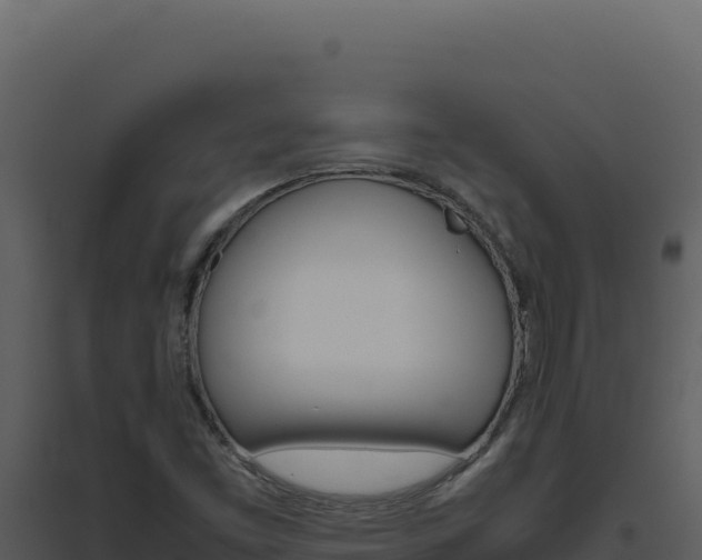 X0000094821453200711161016