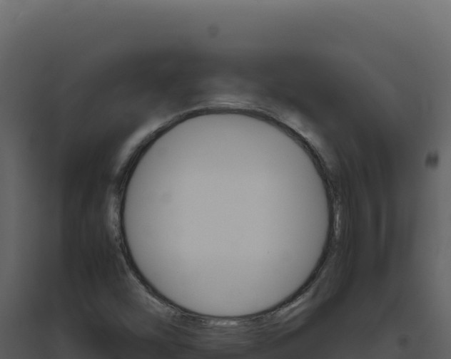 X0000094821454200711161016
