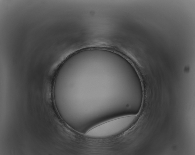 X0000094821455200711161016