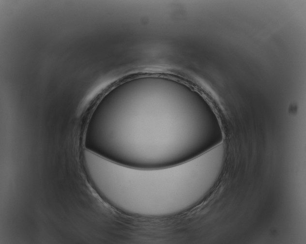 X0000094821456200711161016