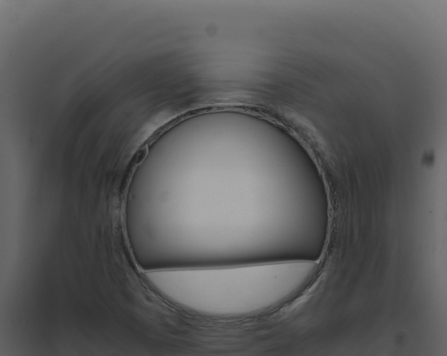X0000094821457200711161016