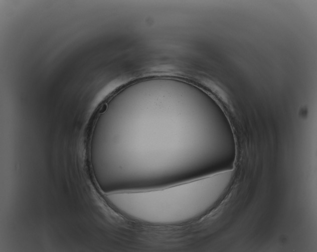 X0000094821458200711161016