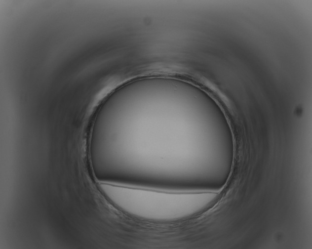 X0000094821459200711161016