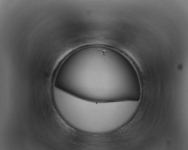 X0000094821460200711161016