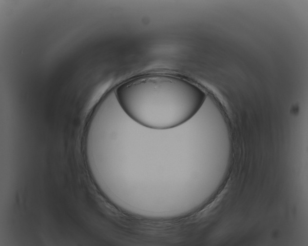 X0000094821461200711161016