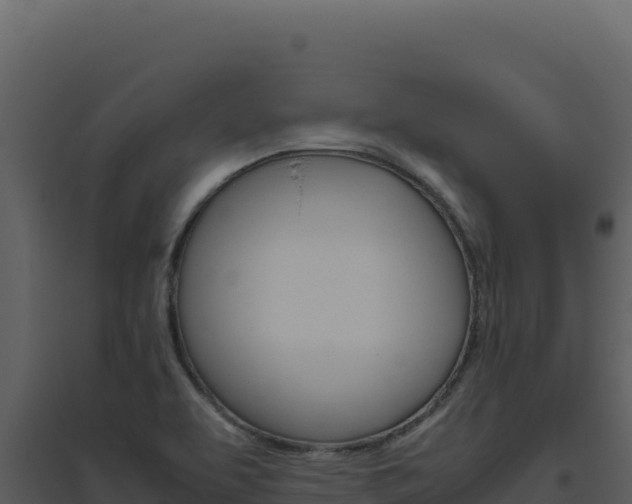 X0000094821463200711161016