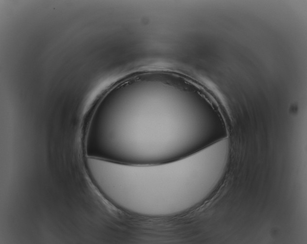 X0000094821464200711161016