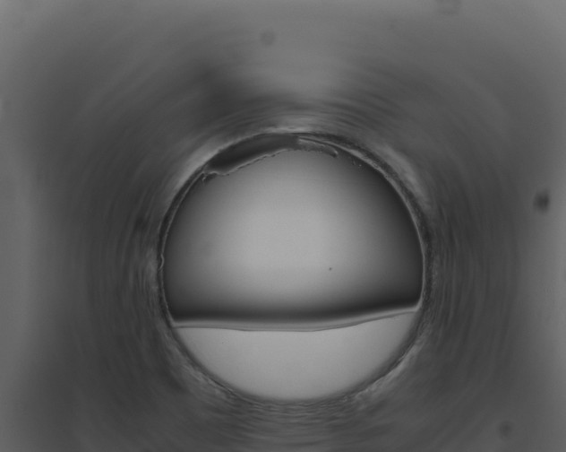 X0000094821465200711161016