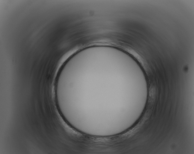 X0000094821466200711161016