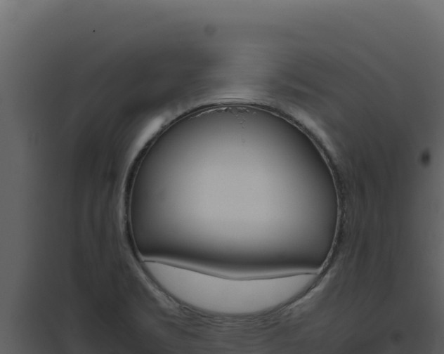 X0000094821469200711161016