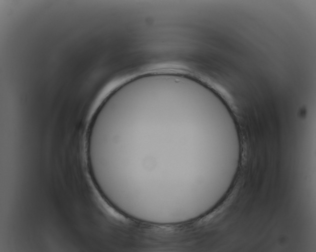 X0000094821470200711161016