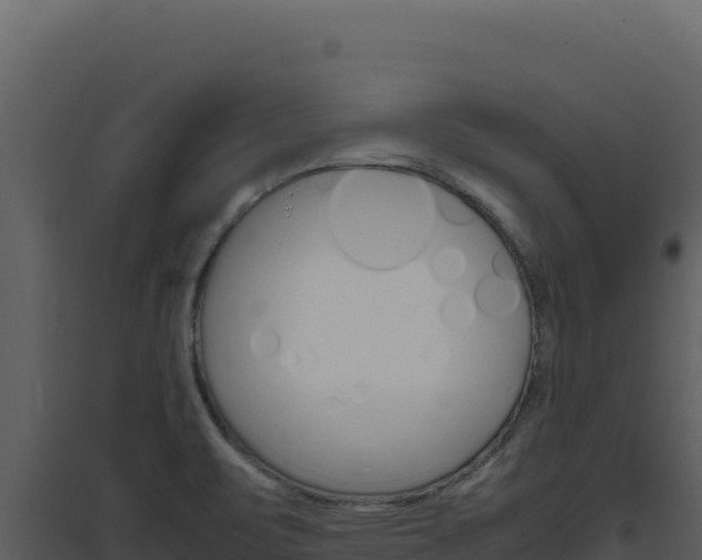 X0000094821471200711161016