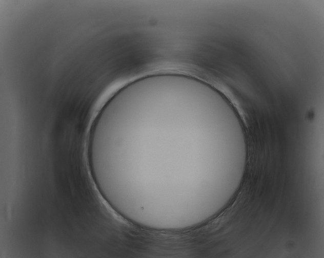 X0000094821472200711161016