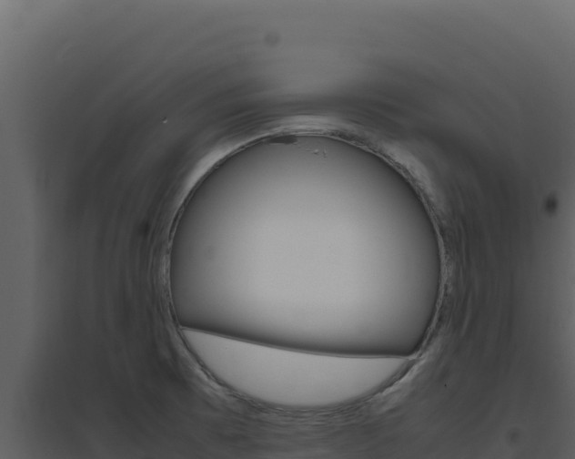 X0000094821473200711161016