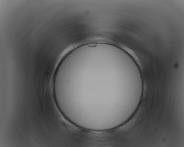 X0000094821474200711161016