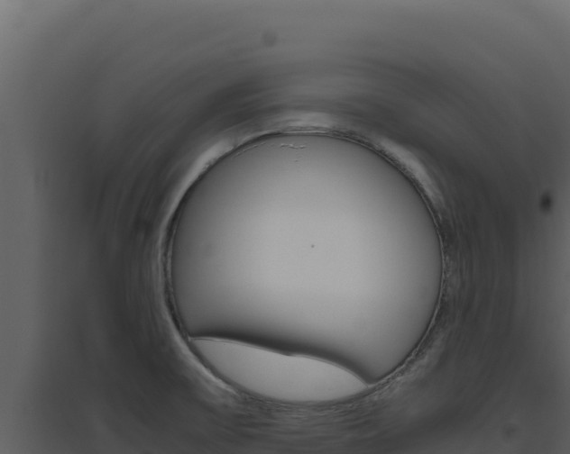 X0000094821475200711161016