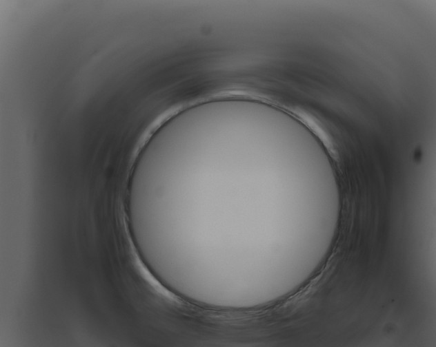 X0000094821476200711161016