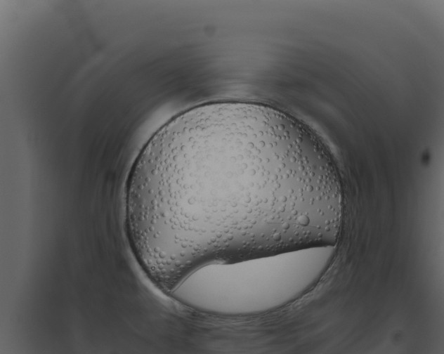 X0000094821479200711161016