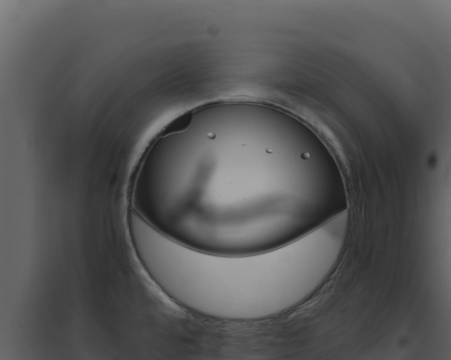 X0000094821480200711161016