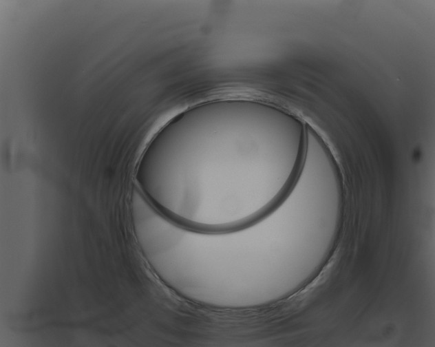 X0000094821481200711161016