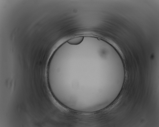 X0000094821482200711161016
