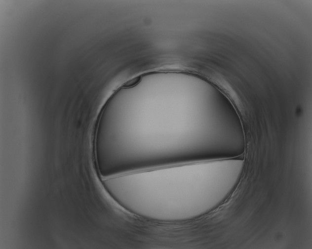 X0000094821483200711161016