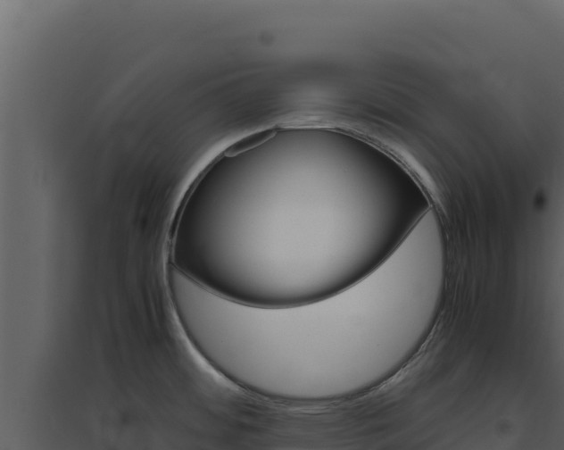 X0000094821484200711161016