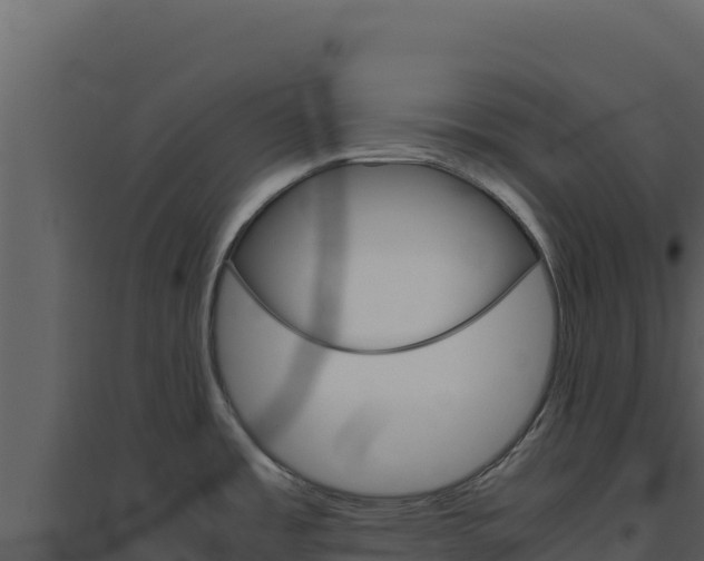 X0000094821485200711161016