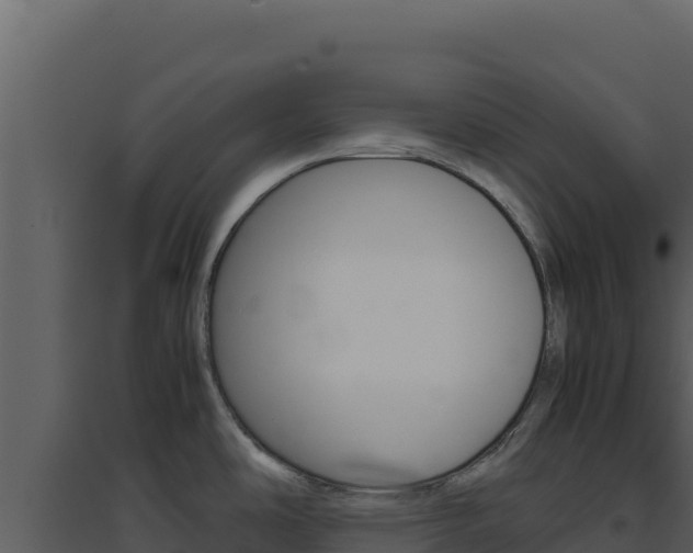 X0000094821486200711161016