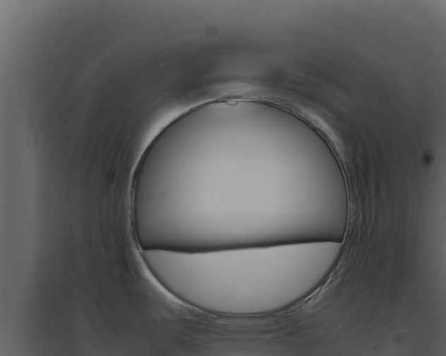 X0000094821487200711161016