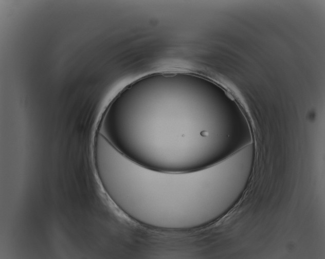X0000094821488200711161016